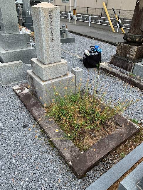 雨が降ると　お墓の雑草が元気になります　岐阜のお墓掃除屋「磨き専隊」です
