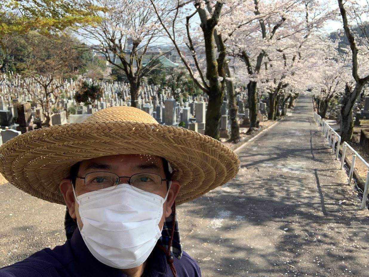 桜は　美しいだけじゃありません　岐阜のお墓掃除屋「磨き専隊」です