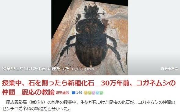 古いお墓の表面には　化石があるかも　岐阜のお墓掃除屋「磨き専隊」です