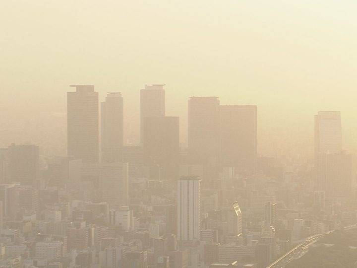 現在　お墓の大敵が飛来中です　岐阜のお墓掃除屋「磨き専隊」です