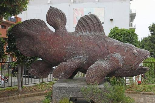 シーラカンスが日本で見れるなんて・・・　岐阜のお墓掃除屋「磨き専隊」です