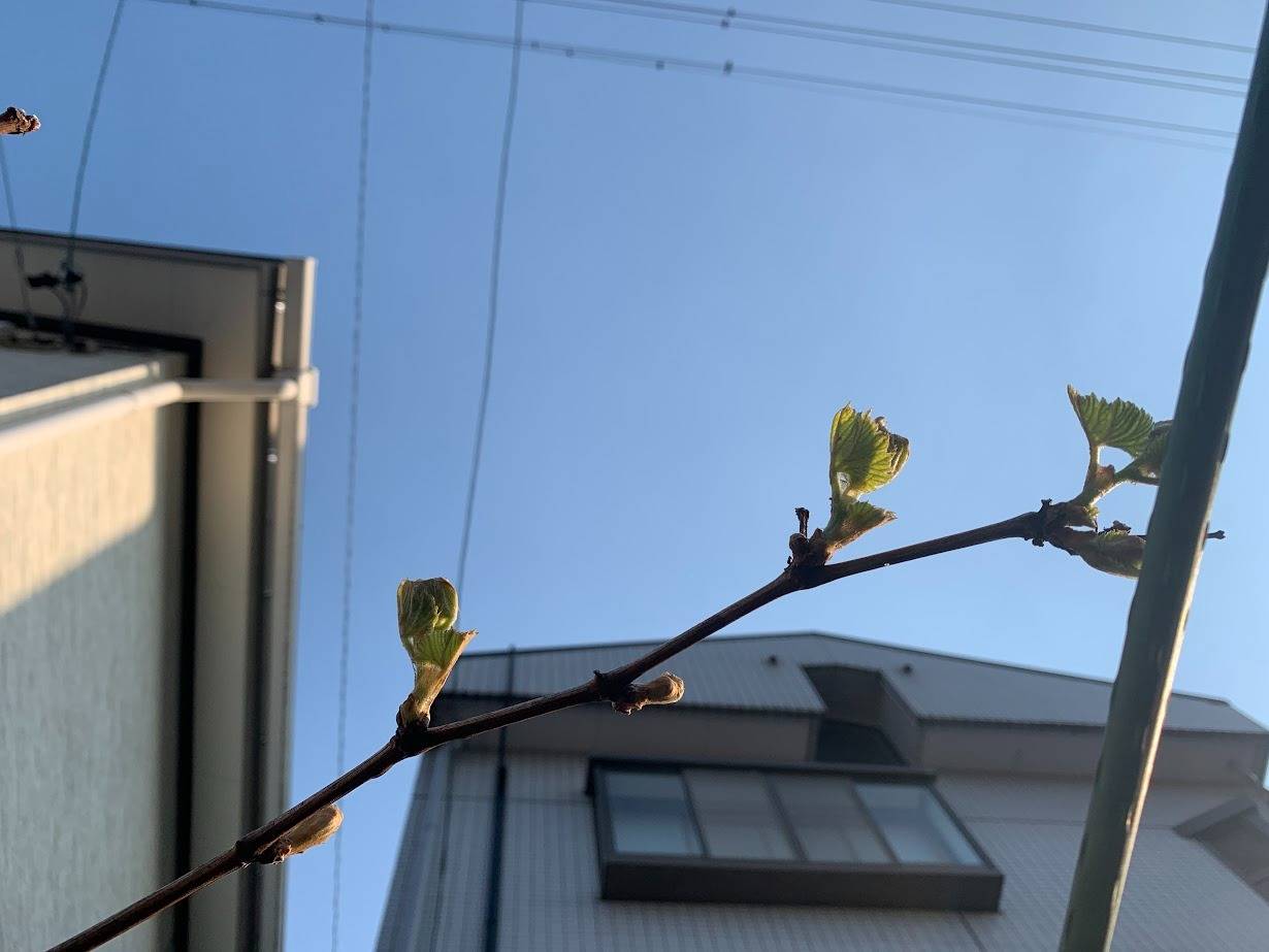 お墓は未来を願うシンボルタワーだ　岐阜のお墓掃除屋「磨き専隊」です