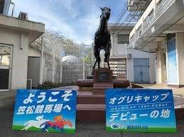 4月24日は「日本ダービーの日」　岐阜のお墓掃除屋「磨き専隊」です