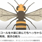 お墓参りのお供えは持って帰ろう　岐阜お墓掃除屋「磨き専隊」です